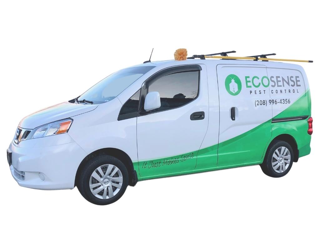 Pest Control Boise Boise's Best Exterminator